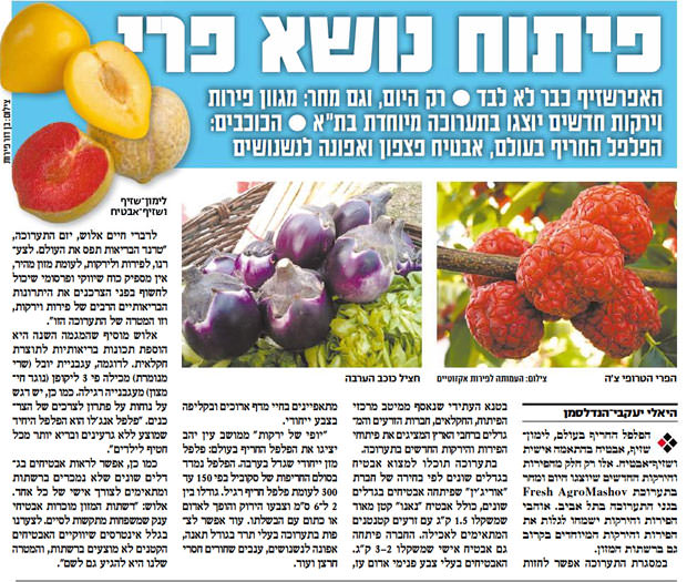 Frutta-israele