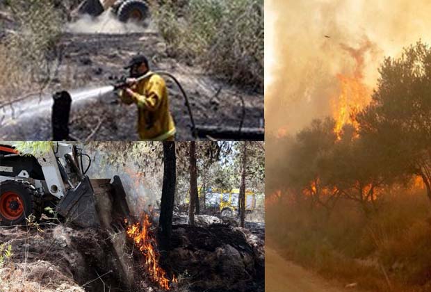 incendio foreste kkl israele